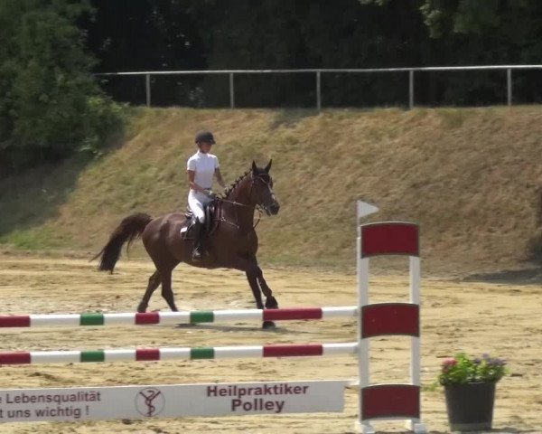 Reitturnier Viersen-Dülken 2015