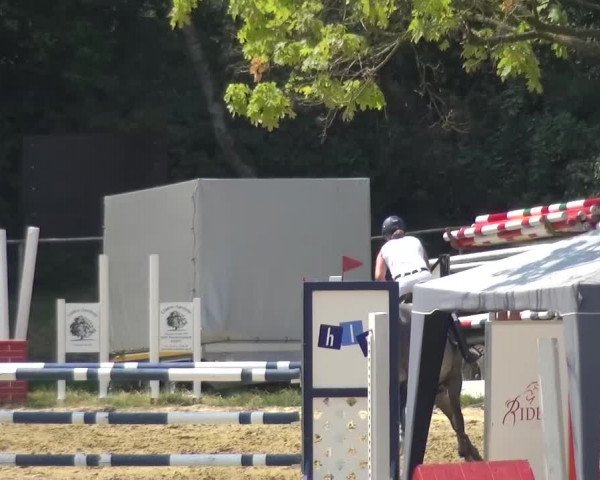 Reitturnier Viersen-Dülken 2015