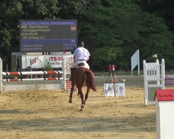 Reitturnier Viersen-Dülken 2015