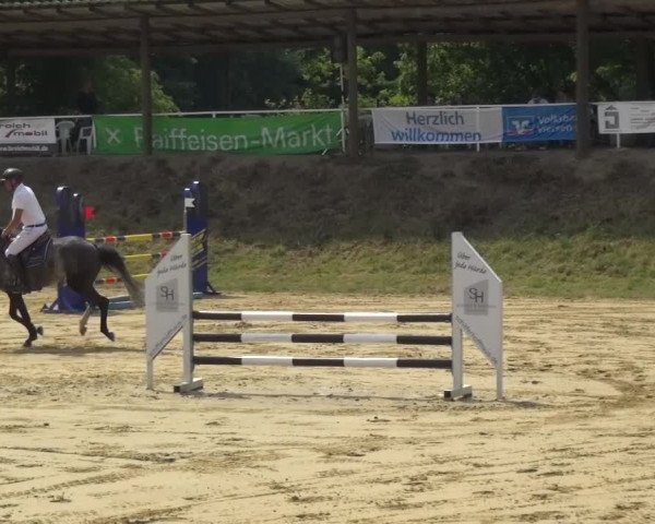 Reitturnier Viersen-Dülken 2015