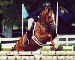 Pferd Donnerhall (Deutsches Reitpony, 2005, von Donnertraum 2)