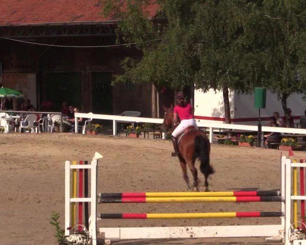 Reitturnier Letmathe 2015