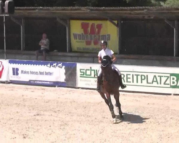 Reitertage Hagau 2015