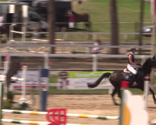 Reitturnier Letmathe 2015