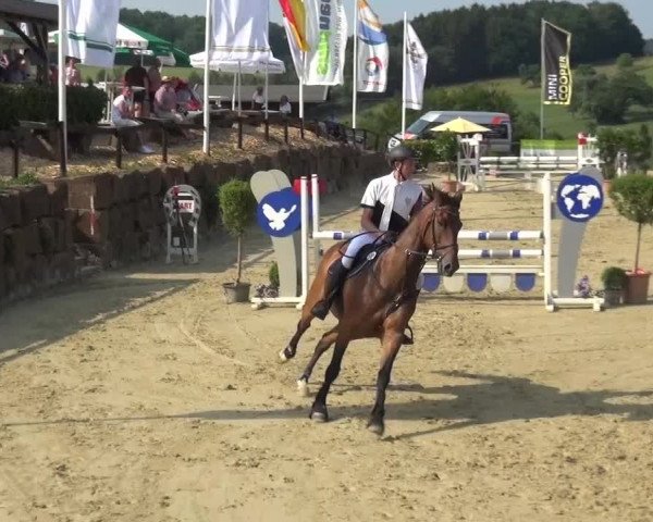 Reitturnier Lindlar-Süttenbach 2015