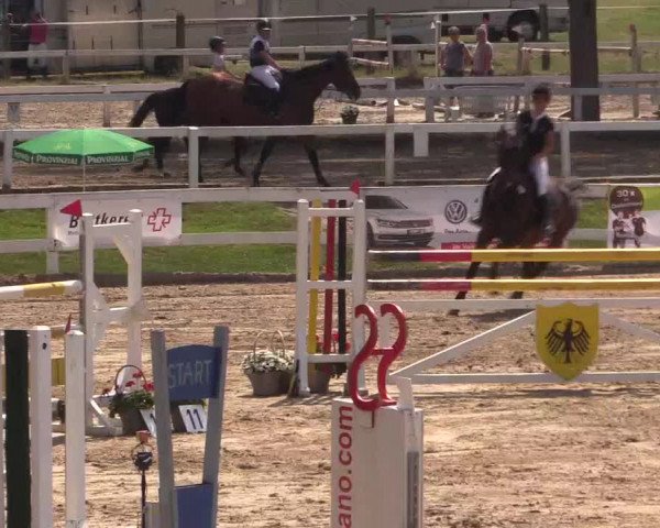Reitturnier Letmathe 2015