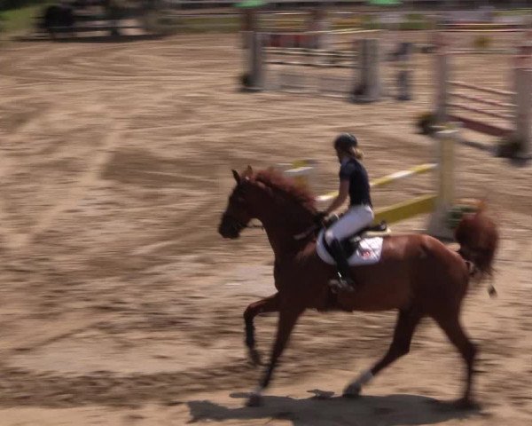 Reitturnier Letmathe 2015