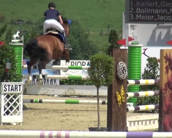 Reitturnier Lindlar-Süttenbach 2015