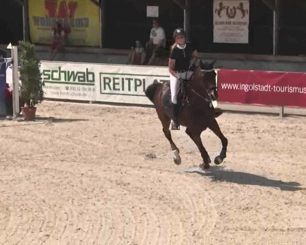 Reitertage Hagau 2015