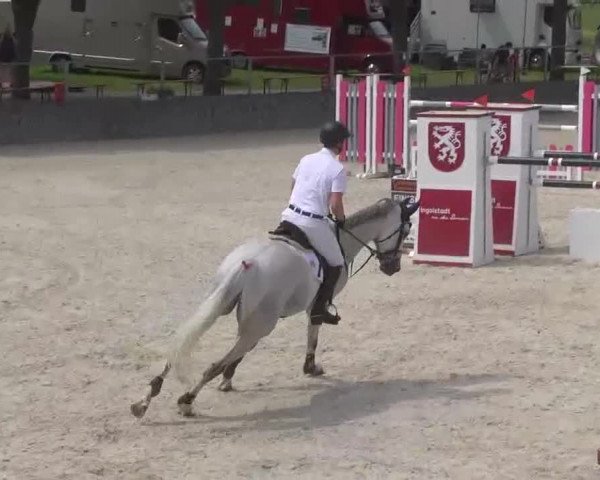 Reitertage Hagau 2015