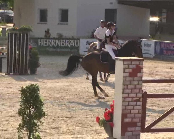 Reitertage Hagau 2015