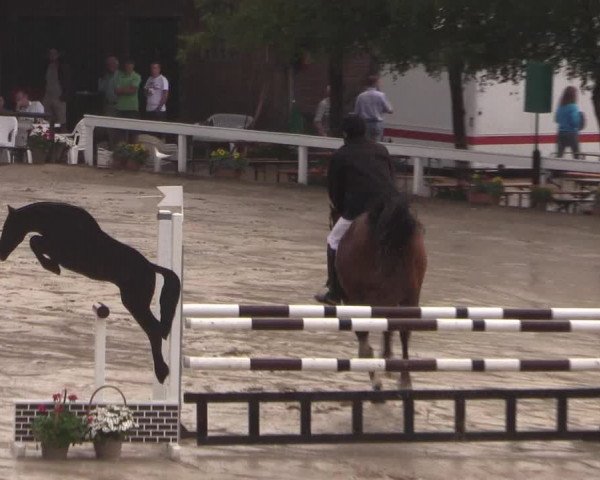 Reitturnier Letmathe 2015