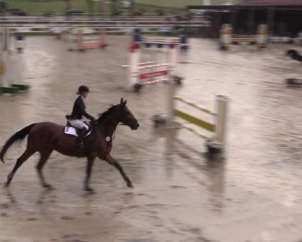 Reitturnier Letmathe 2015