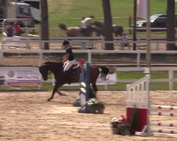 Reitturnier Letmathe 2015