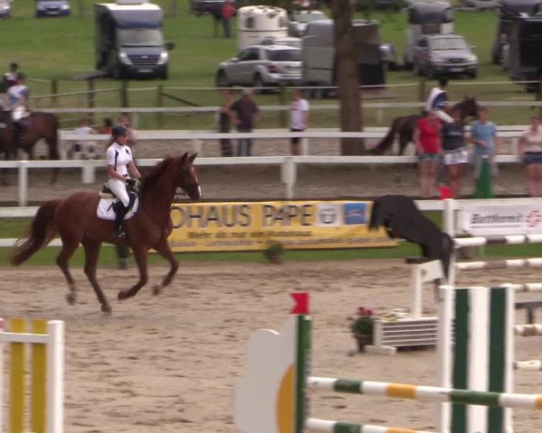 Reitturnier Letmathe 2015