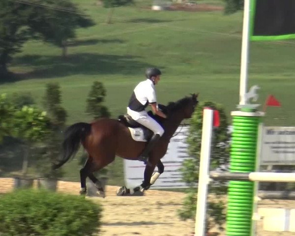 Reitturnier Lindlar-Süttenbach 2015