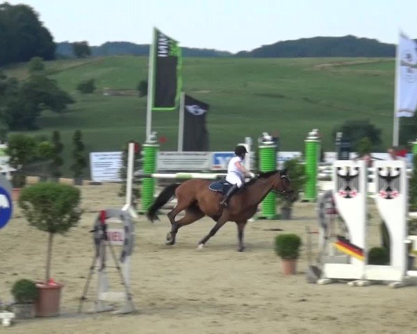 Reitturnier Lindlar-Süttenbach 2015
