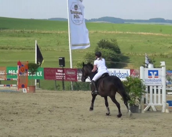 Reitturnier Lindlar-Süttenbach 2015