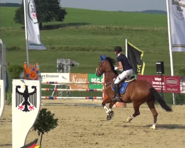 Reitturnier Lindlar-Süttenbach 2015