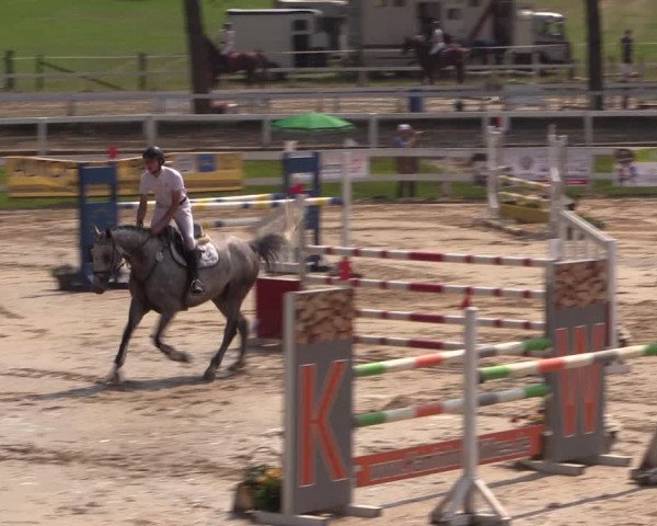 Reitturnier Letmathe 2015