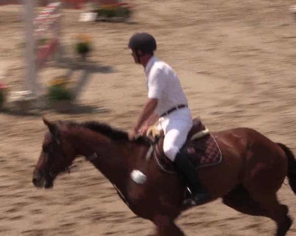Reitturnier Letmathe 2015