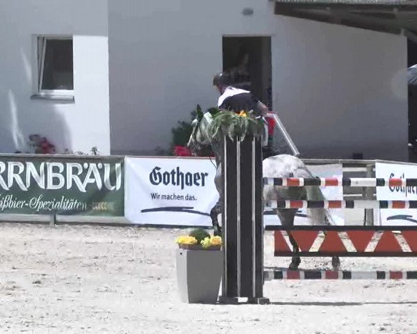 Reitertage Hagau 2015