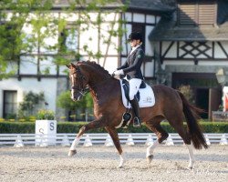 broodmare Valencia 86 (Hanoverian, 2009, from Valentino)