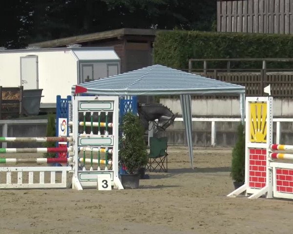 Reitturnier Melle-Ostenfelde 2015