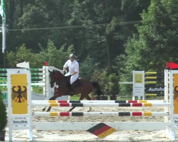 Reitturnier Melle-Ostenfelde 2015