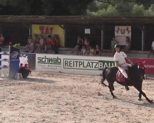 Reitertage Hagau 2015