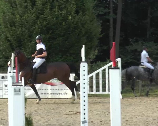 Reitturnier Melle-Ostenfelde 2015
