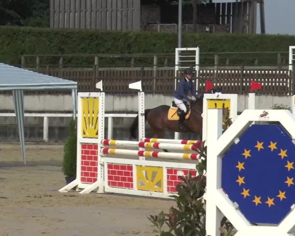Reitturnier Melle-Ostenfelde 2015