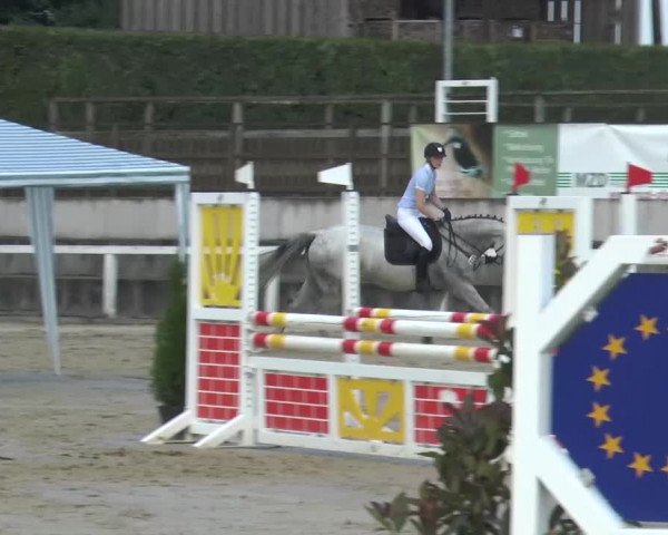 Reitturnier Melle-Ostenfelde 2015