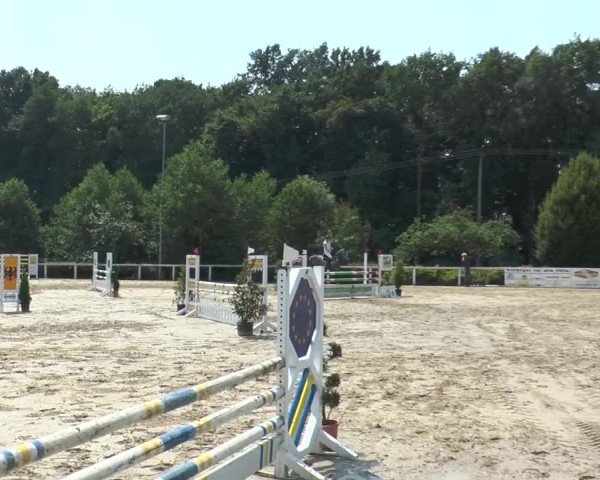 Reitturnier Melle-Ostenfelde 2015