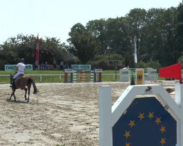 Reitturnier Melle-Ostenfelde 2015