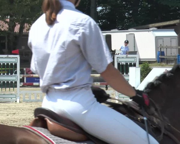 Reitturnier Melle-Ostenfelde 2015