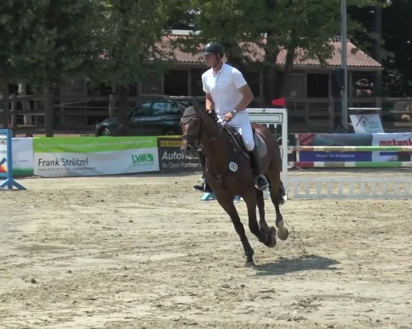 Reitturnier Melle-Ostenfelde 2015