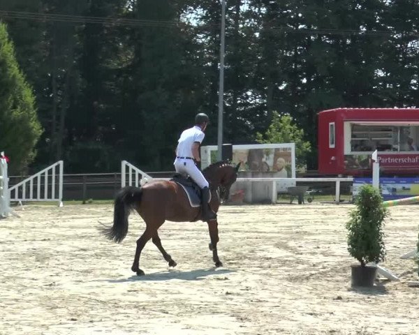Reitturnier Melle-Ostenfelde 2015