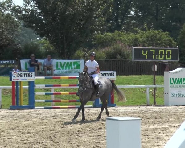 Reitturnier Melle-Ostenfelde 2015