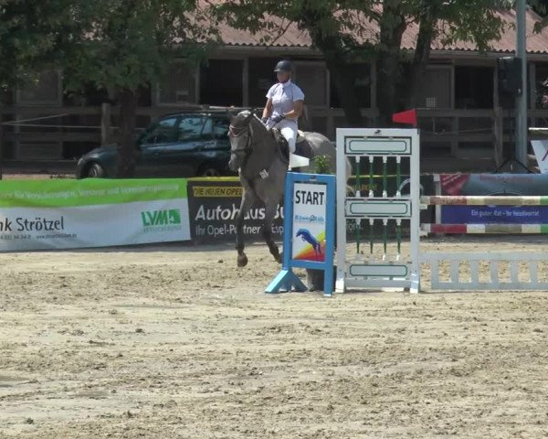 Reitturnier Melle-Ostenfelde 2015