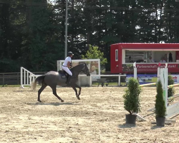Reitturnier Melle-Ostenfelde 2015