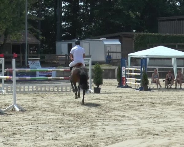 Reitturnier Melle-Ostenfelde 2015