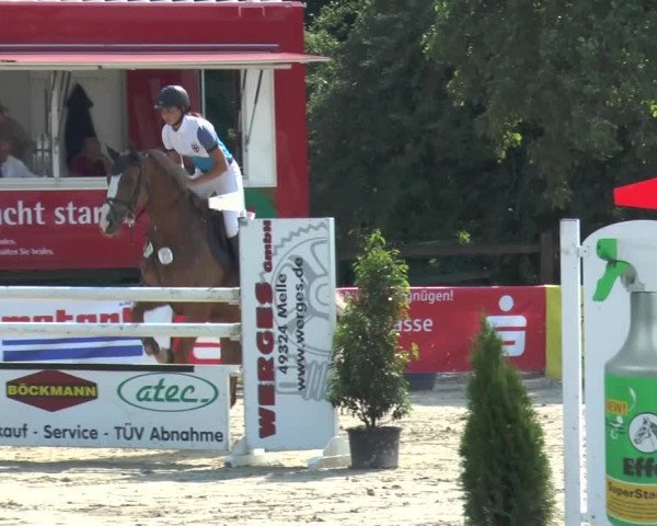 Reitturnier Melle-Ostenfelde 2015