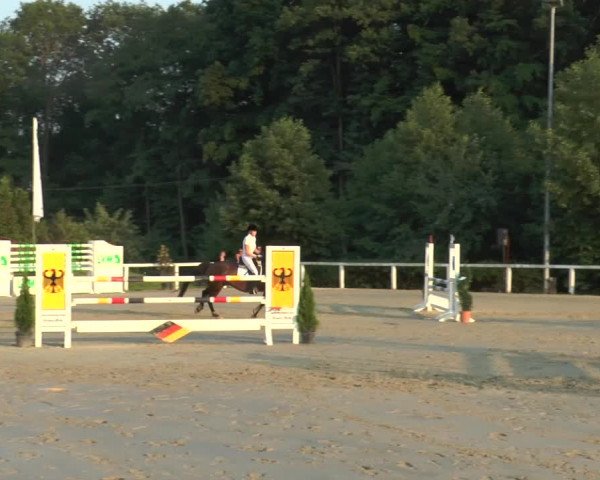 Reitturnier Melle-Ostenfelde 2015