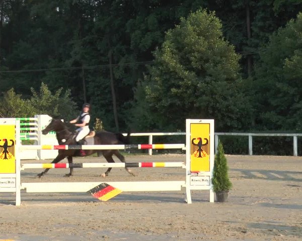 Reitturnier Melle-Ostenfelde 2015