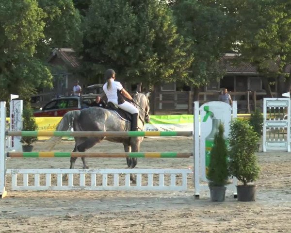 Reitturnier Melle-Ostenfelde 2015