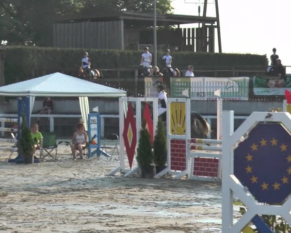 Reitturnier Melle-Ostenfelde 2015