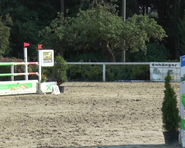 Reitturnier Melle-Ostenfelde 2015