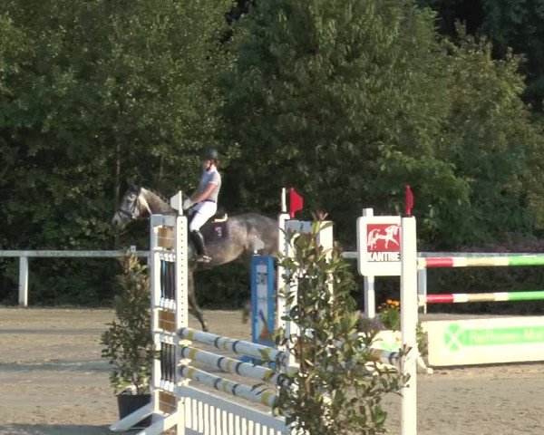 Reitturnier Melle-Ostenfelde 2015