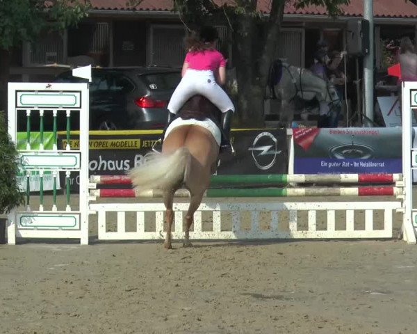 Reitturnier Melle-Ostenfelde 2015